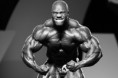 /album/fotogaleria/phil-heath7-jpg/
